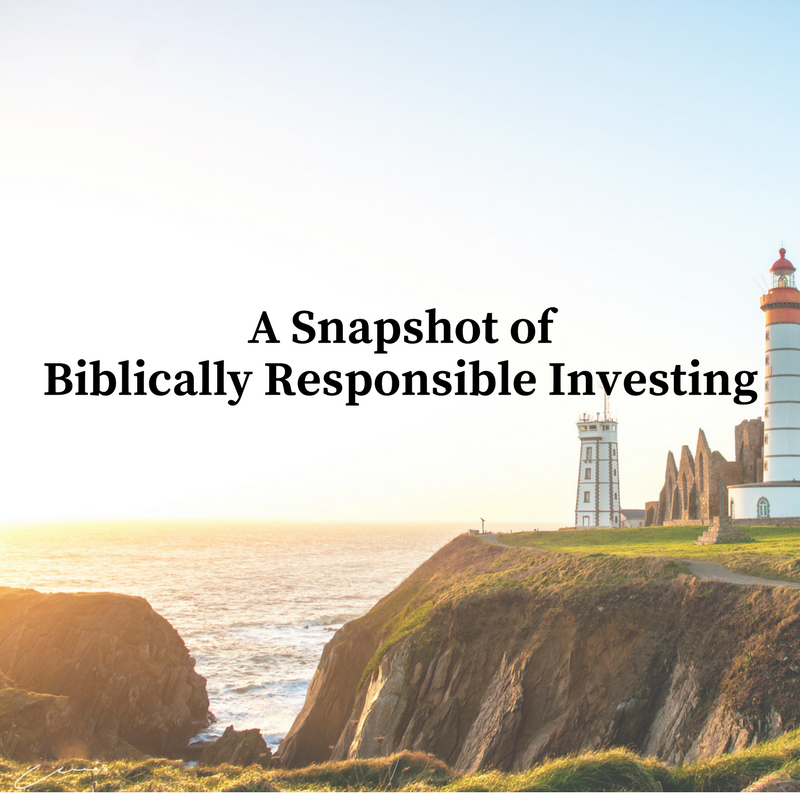A Snapshot of Biblically Responsible Investing - post