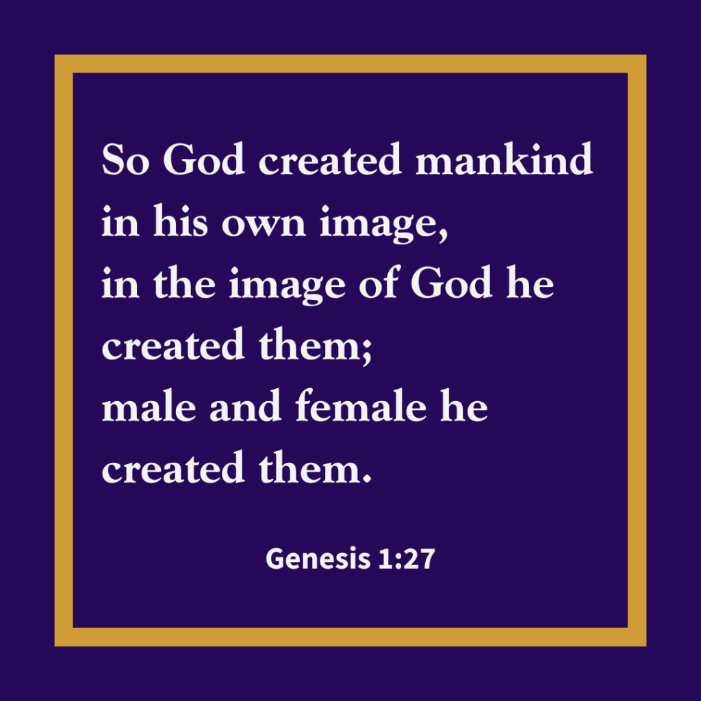 Genesis 1:27 verse